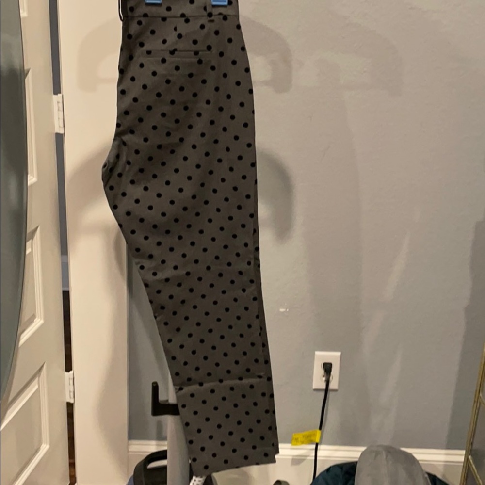 Ann Taylor Textured Dot Slacks